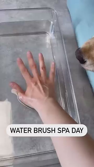 Steam Pet Brush 3-in-1 — Self-Cleaning Grooming Brush for Cats & Dogs